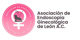 Webinar Temas Selectos en Histeroscopia